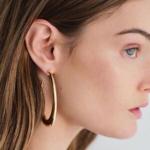 NWT Zara Gold Hoop Earrings